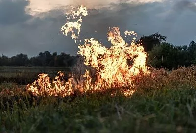 Учёный: перенос дыма от сибирских пожаров в центральную часть России маловероятен