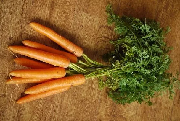 Не выбрасывайте морковную ботву, ведь это ценный продукт: врач рассказала, как ее применять с пользой для здоровья