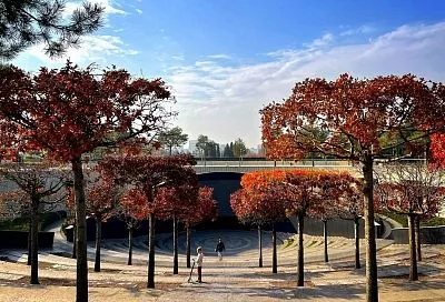 В амфитеатре парка Галицкого покажут футбольный матч «Оренбург»-«Краснодар» 