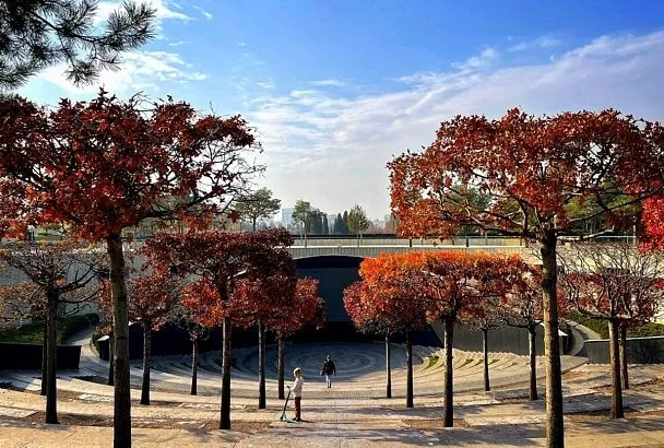 В амфитеатре парка Галицкого покажут футбольный матч «Оренбург»-«Краснодар» 