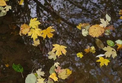 Холодный воздух из акватории Ледовитого океана обрушит температуры в Краснодарском крае