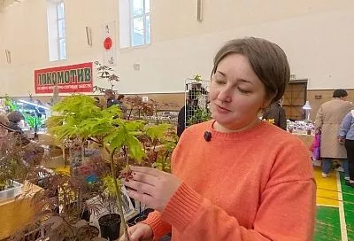 Все цвета радуги в одном деревце: как вырастить в России японский клен