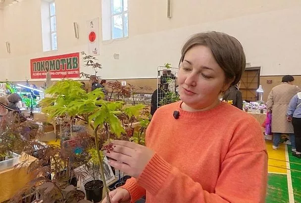 Все цвета радуги в одном деревце: как вырастить в России японский клен