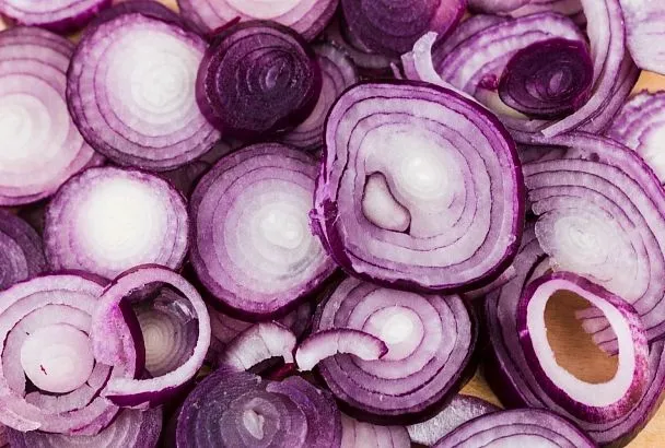 Эксперт ПНИПУ предупредил о высокой токсичности всех видов лука для собак и кошек