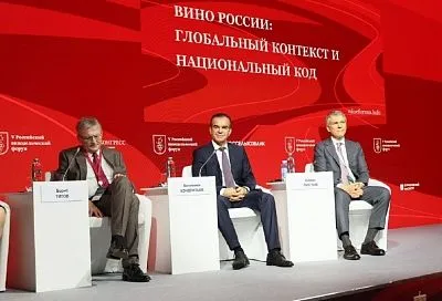 Вениамин Кондратьев: «На Кубани реализуют шесть инвестпроектов в сфере виноделия на общую сумму более 11 млрд рублей»