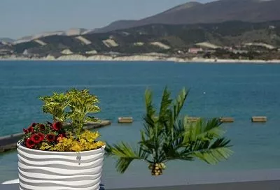 Курорты Краснодарского края попали в топ самых популярных направлений для путешествий этим летом