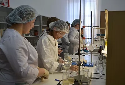 «Билет в будущее»: школьники Краснодарского края смогут принять участие в программе ранней профориентации