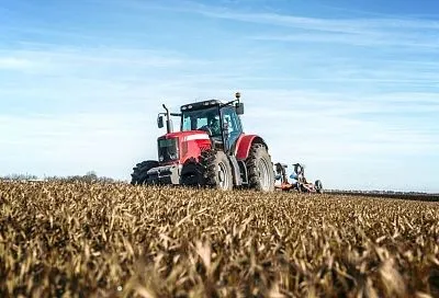 Аграрии Кубани заработали более 35 млрд рублей за семь месяцев