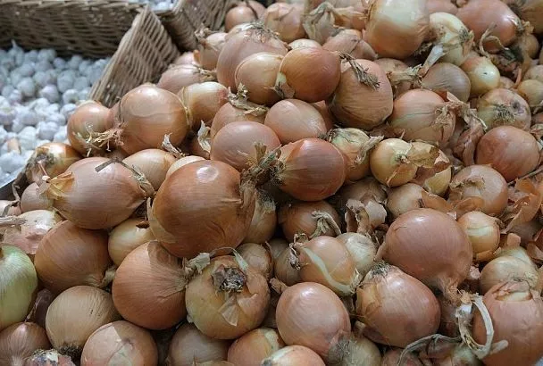 Семь золотых правил выращивания крупного лука: так делала еще моя бабушка – здесь все натуральное