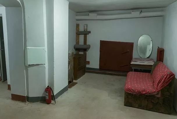 В Сочи разработают единые правила содержания убежищ