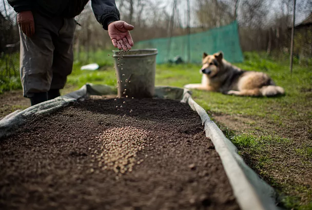 Как правильно "включить" грядки весной — простой и надёжный способ