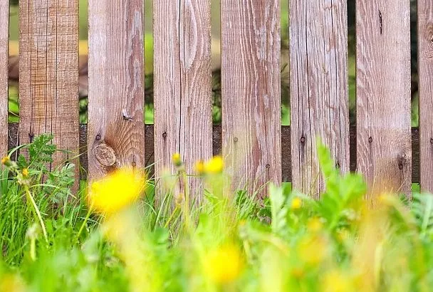 Потратил 2 часа – и деревянный забор простоит вечность: как простой трюк с шифером вернет ограду к жизни