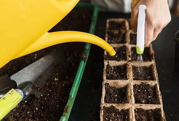 Разложил простой картон перед посадкой рассады так – и без усилий защитил весенние грядки от сорняков и засухи на всё лето