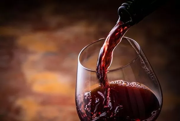 Пять виноделен Новороссийска включены в национальный маршрут «Винные дороги Краснодарского края» 