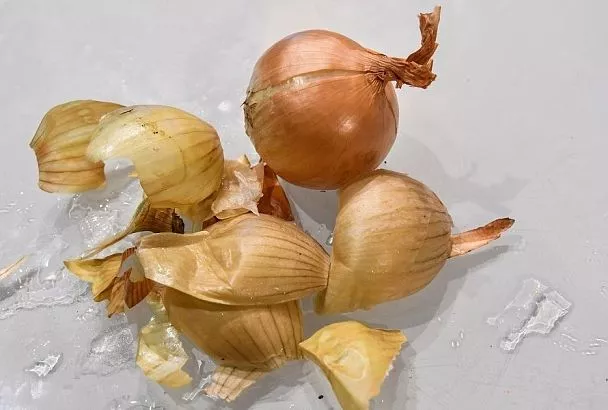 Луковая шелуха – секретное средство защиты вашего огорода