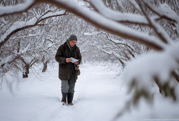 Работы в саду в феврале защищаем деревья от ожогов: утаптываем снег и обновляем побелку пока не поздно