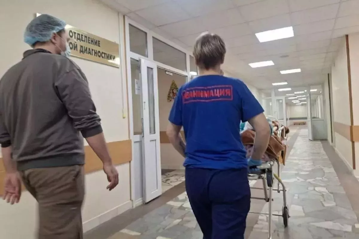 Пострадавшего от нападения хаски в Сочи ребенка выписали из больницы