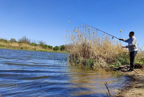 Крупный карась клюет на тонкую снасть: Выбор крючков и амортизация рывков