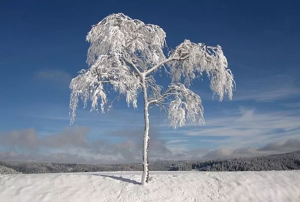 Народные приметы на сегодня – 28 февраля, что можно и нельзя делать в Кириллов день по народному календарю