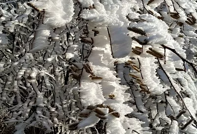 Синоптики предупредили о мокром снеге и гололедице в горном кластере Сочи