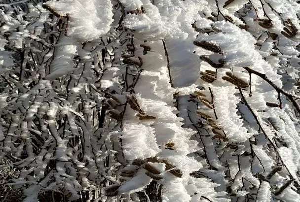 Синоптики предупредили о мокром снеге и гололедице в горном кластере Сочи