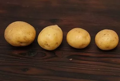 Картошка в «мундире»: не выливайте отвар – это ценнейшее удобрение для растений