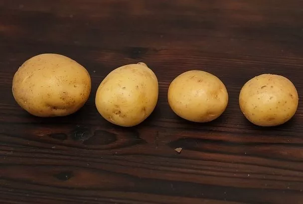 Картошка в «мундире»: не выливайте отвар – это ценнейшее удобрение для растений