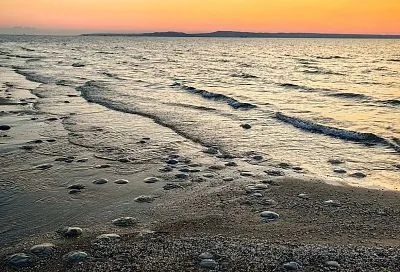 Повышение солености Азовского моря неблагоприятно влияет на промысловые виды рыб