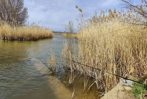 Карась клюет даже в «глухие» часы: лайфхак с 2 удочками и глубиной