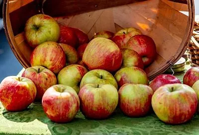 Более 7,7 тысячи случаев несанкционированной торговли пресекли в Краснодарском крае