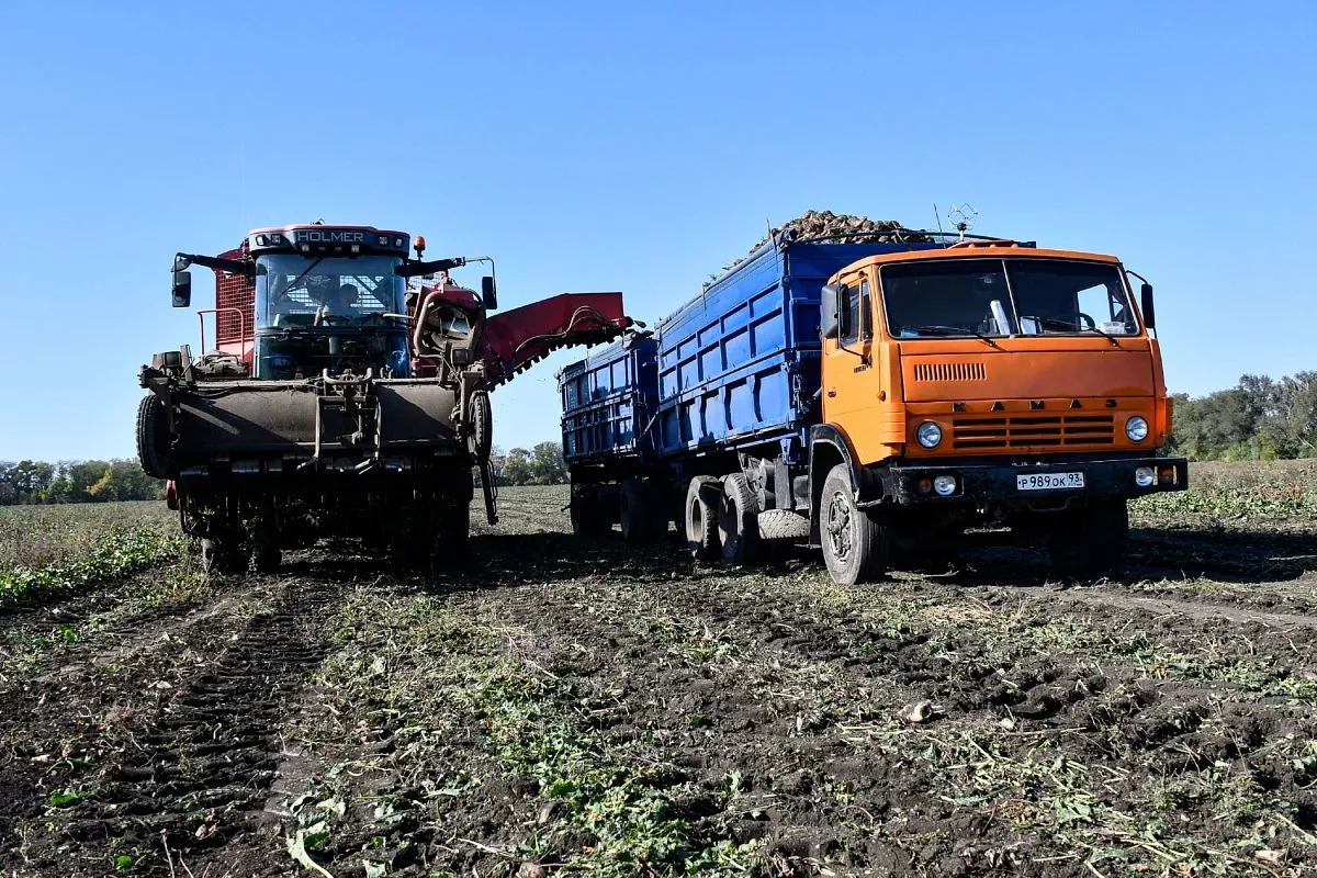 Выращивать многолетние травы не только полезно, но и выгодно. Соя, рапс и другие культуры, в том числе бобовые, тоже хорошо востребованы. Выращивать многолетние травы не только полезно, но и выгодно. Соя, рапс и другие культуры, в том числе бобовые, тоже хорошо востребованы.