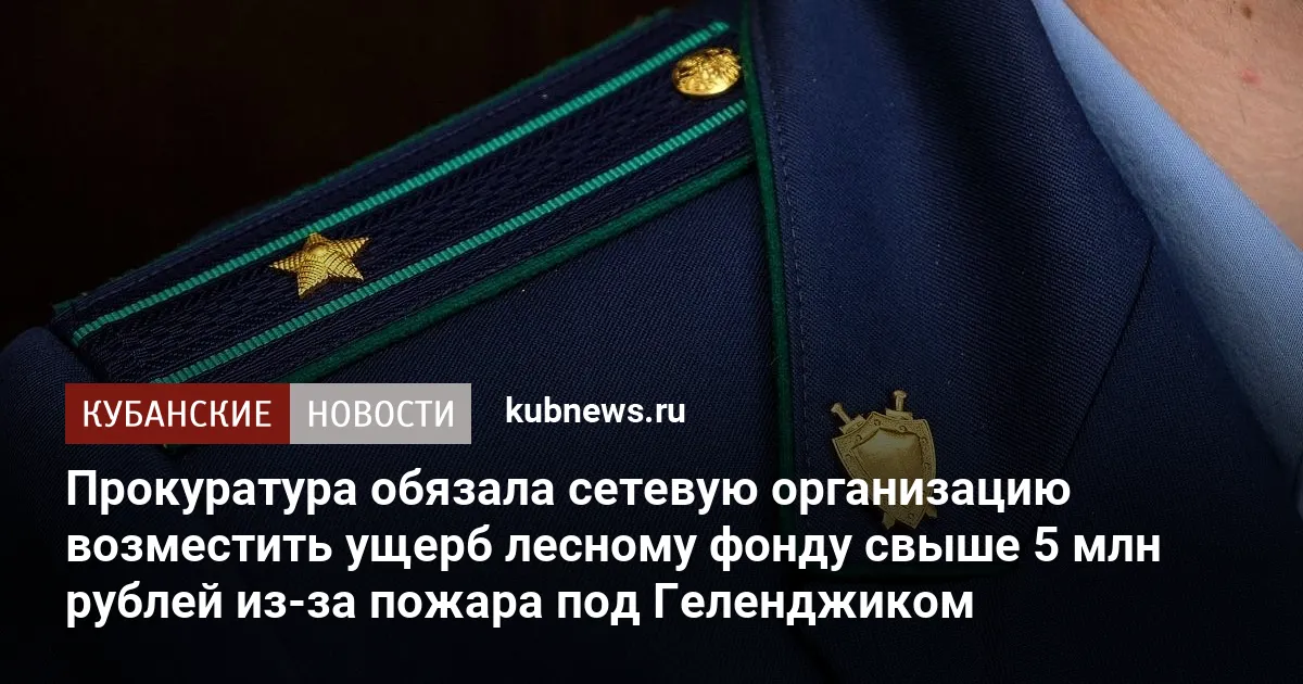 Прокуратура обязала сетевую организацию возместить ущерб лесному фонду свыше 5 млн рублей из-за пожара под Геленджиком