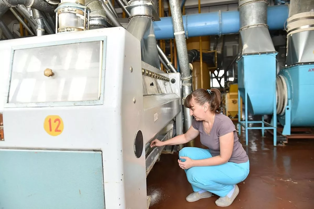 Краснодарский элеватор