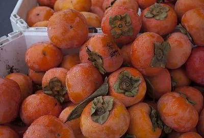 Чипсы из хурмы в духовке: полезная сладость, которую можно есть каждый день