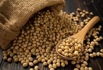 Урожайность сои может упасть на 91% к 2050 году из-за изменений климата