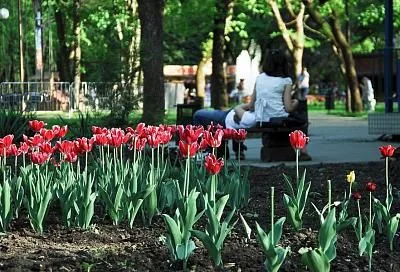 В Ейском районе заканчивают благоустраивать парк «Победа»