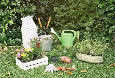 Лунный календарь садовода с 12 по 18 июля: какие работы принесут в эти дни большую пользу, а какие только вред