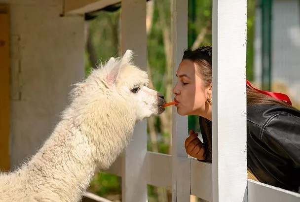 Прелести агротуризма в Краснодарском крае