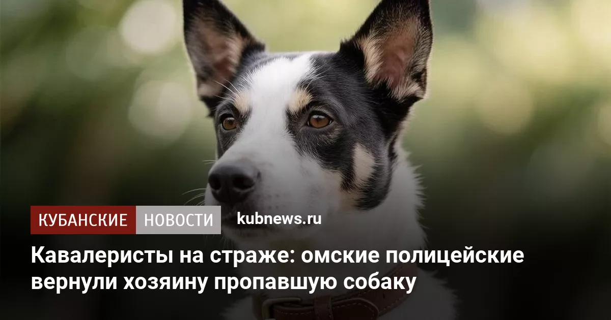 Кавалеристы на страже: омские полицейские вернули хозяину пропавшую собаку