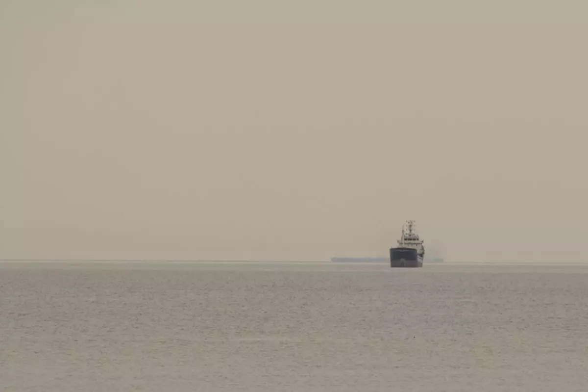 Организатора паромной линии Трабзон-Сочи обвиняют в финансовых махинациях