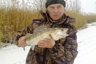 Дмитрий Герман 