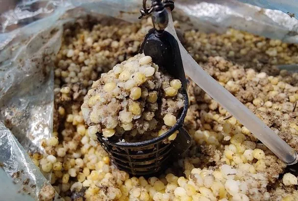 Фидер на карася: секрет летней прикормки — заставит клевать даже «мёртвого»