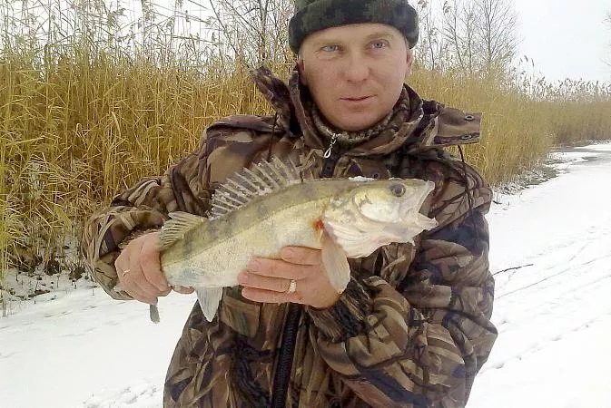 Дмитрий Герман 