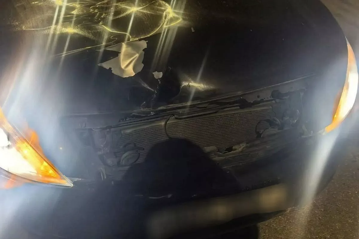 Иномарка насмерть сбила мужчину на трассе М-4 «Дон» под Геленджиком