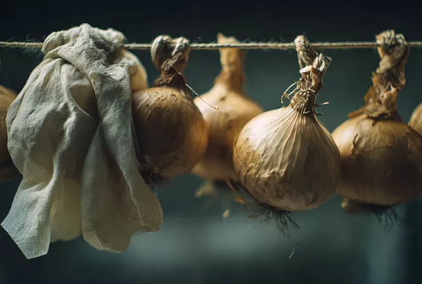 Лук не прорастает и не портится месяцами: простые способы правильного хранения