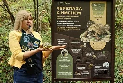 Где на Кубани туристы могут встретить редкую черепаху Никольского