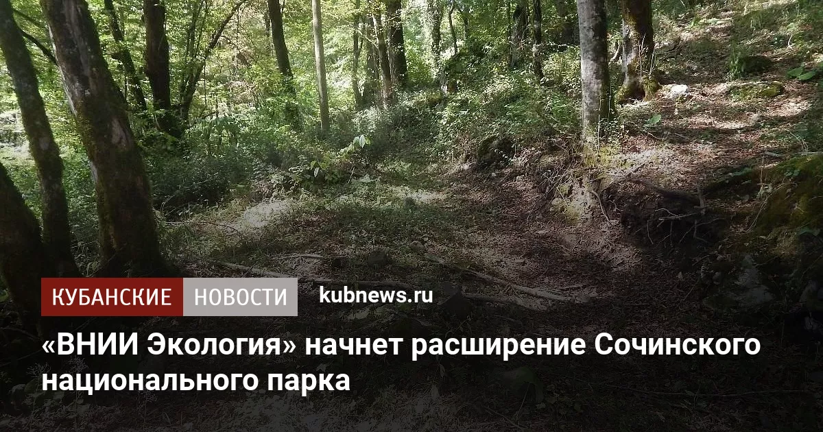 «ВНИИ Экология» начнет расширение Сочинского национального парка
