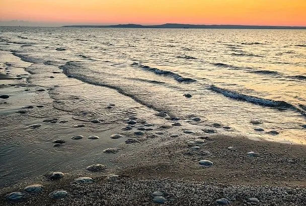 Соленость Азовского моря дошла до исторического максимума 