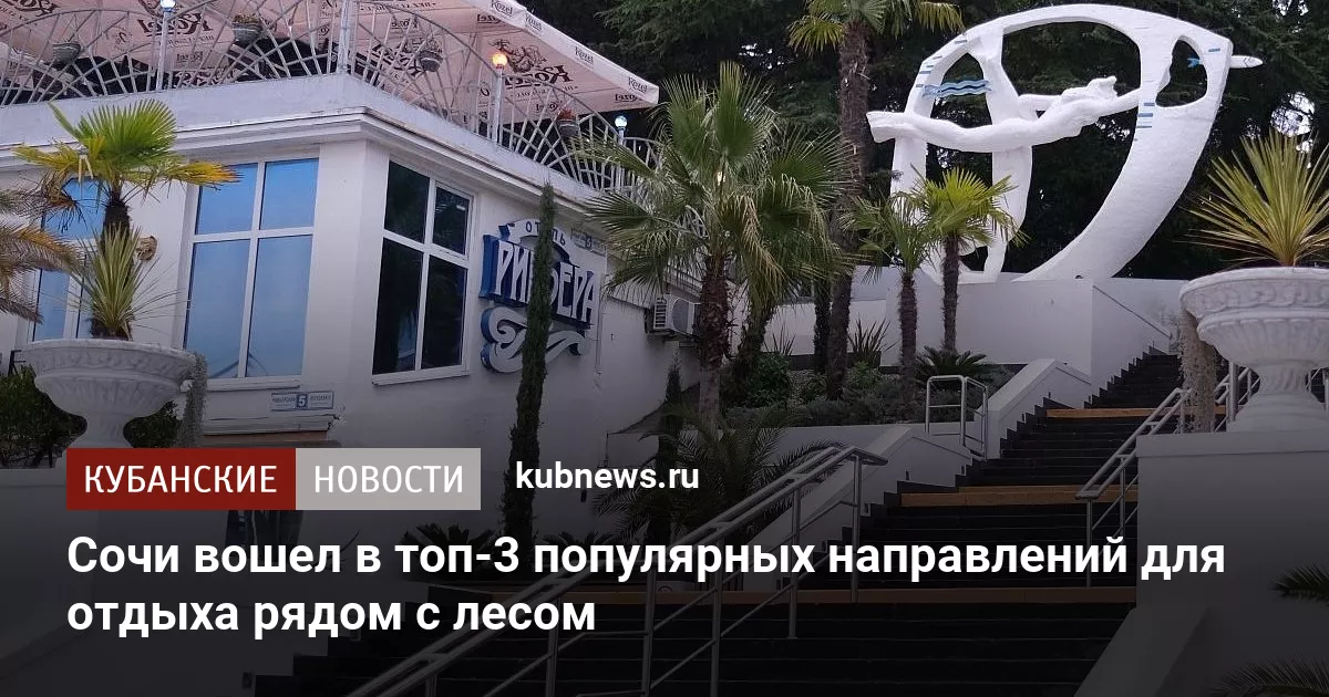 Сочи вошел в топ-3 популярных направлений для отдыха рядом с лесом