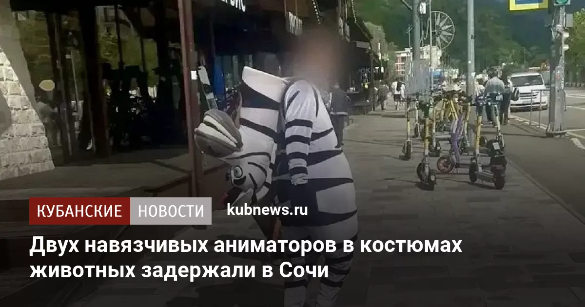 Двух навязчивых аниматоров в костюмах животных задержали в Сочи